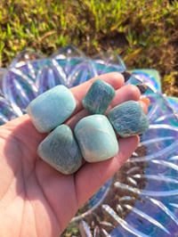 Image 1 of Amazonite Tumbles