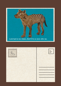 A6 Thylacine Print, Postcard