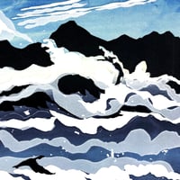 Image 2 of Racing a cormorant