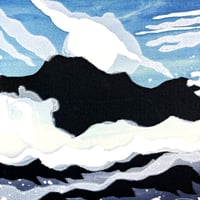 Image 4 of Racing a cormorant