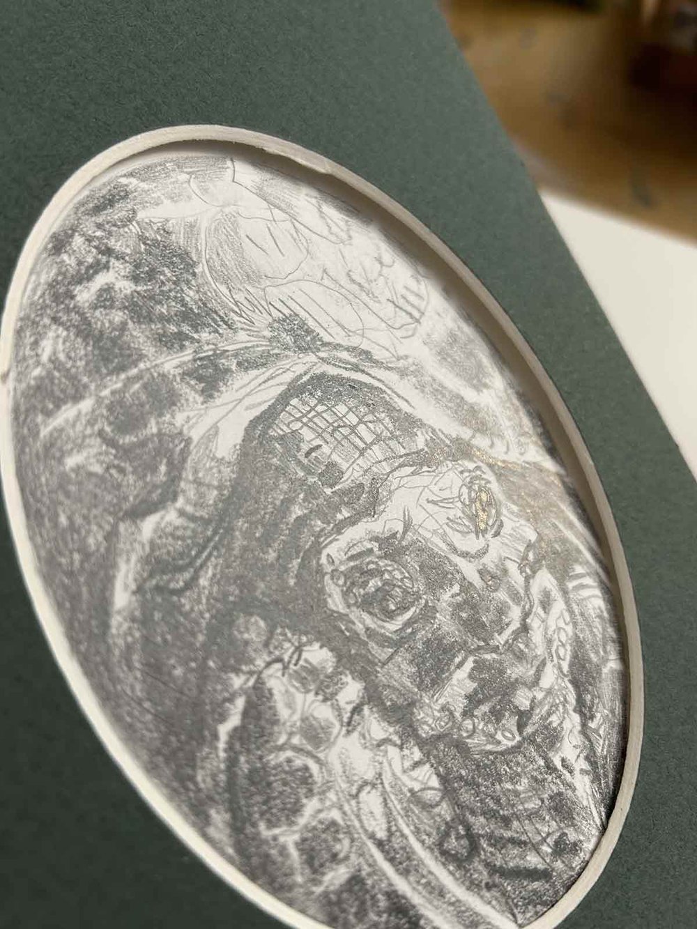Testudinidae – Tortoise graphite drawing