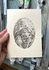 Testudinidae – Tortoise graphite drawing