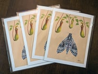 Image 3 of Nepenthes - Fine Art Print