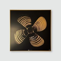 Rembrandt van Rijn portside propellor