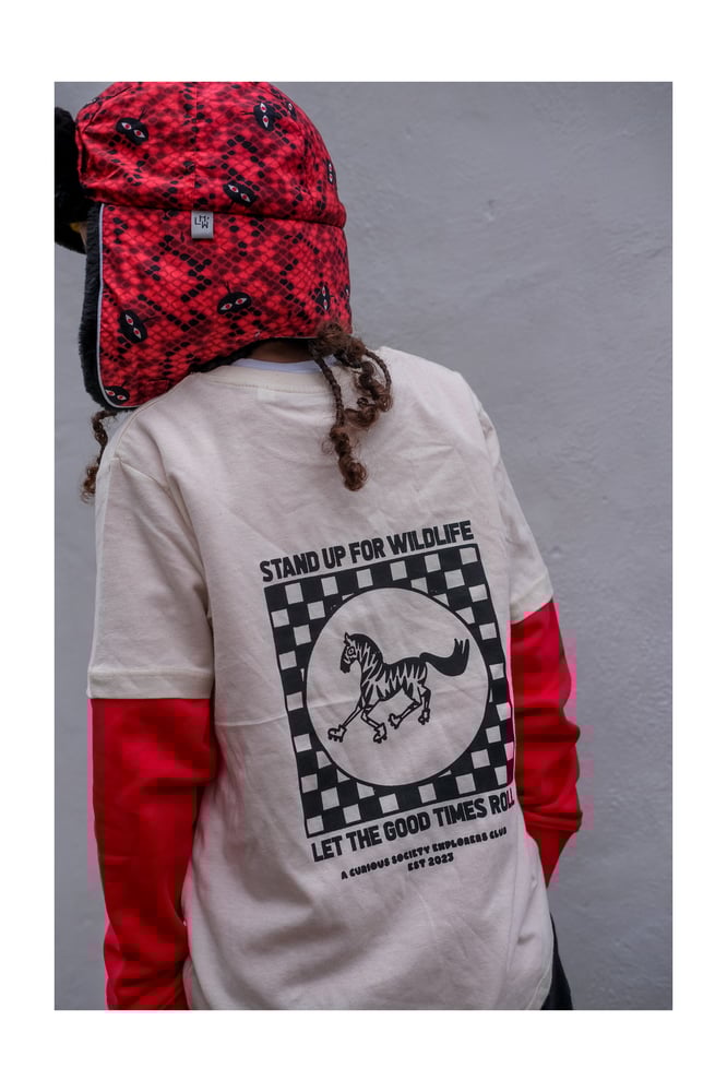 Image of Let's Roll - Zebra