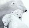 Polar Love (Print)