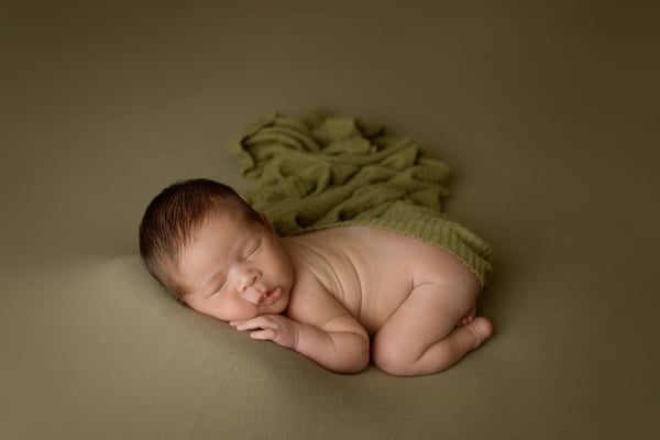 Image of Two Day In-Person Newborn Workshop (Fly on the Wall) - 2025