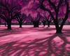 Magenta Dreamscape Fine Art Print