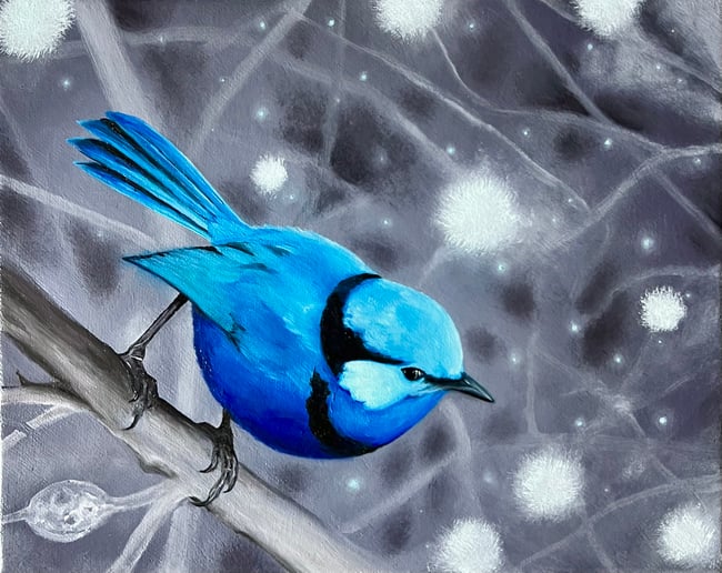 Little Blue Boy Fine Art Print