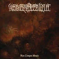 Image 5 of Hebephrenique "Non Compos Mentis" CD