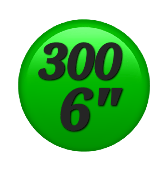 Image of 300-6 inch Any Shape Stickers 