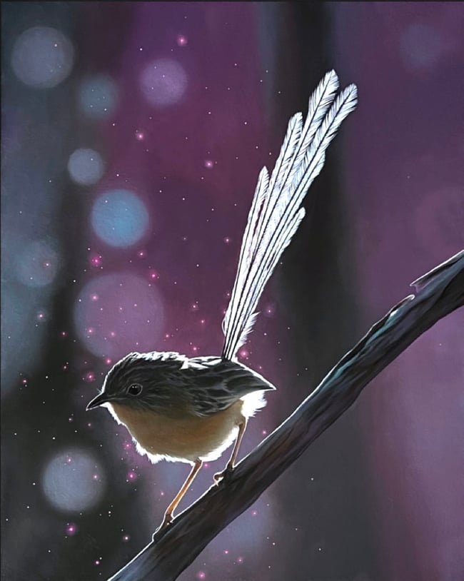 Female Emu Wren in Morning Rays