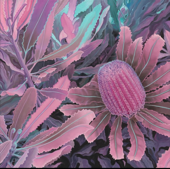 Radiant Banksia Menziesii Canvas Print 50cm x 50cm