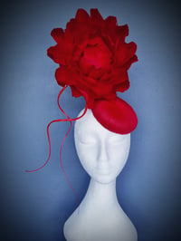 'Florencia' in red