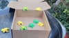 Box of Spiders