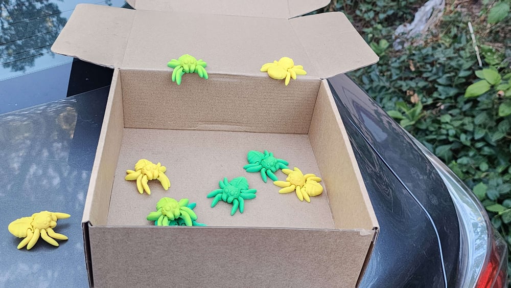 Box of Spiders
