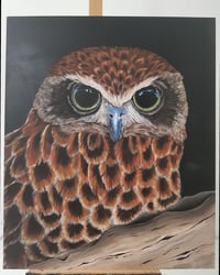 Image 1 of Mr Boobook Original Acrylic Painting.