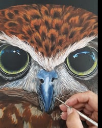 Image 2 of Mr Boobook Original Acrylic Painting.