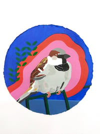 Image 3 of Perched House Sparrow