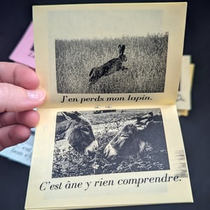 4 fanzines animaliers - Angèle Douche