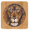 Fearless King Coaster