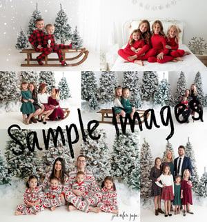 Image of EARLY BIRD Christmas Minis Oct 29 All Digitals $150 total 