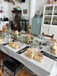 Image 3 of Terrarium Workshop