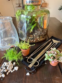 Image 2 of Terrarium Workshop