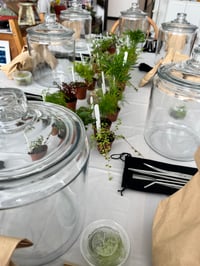 Image 4 of Terrarium Workshop