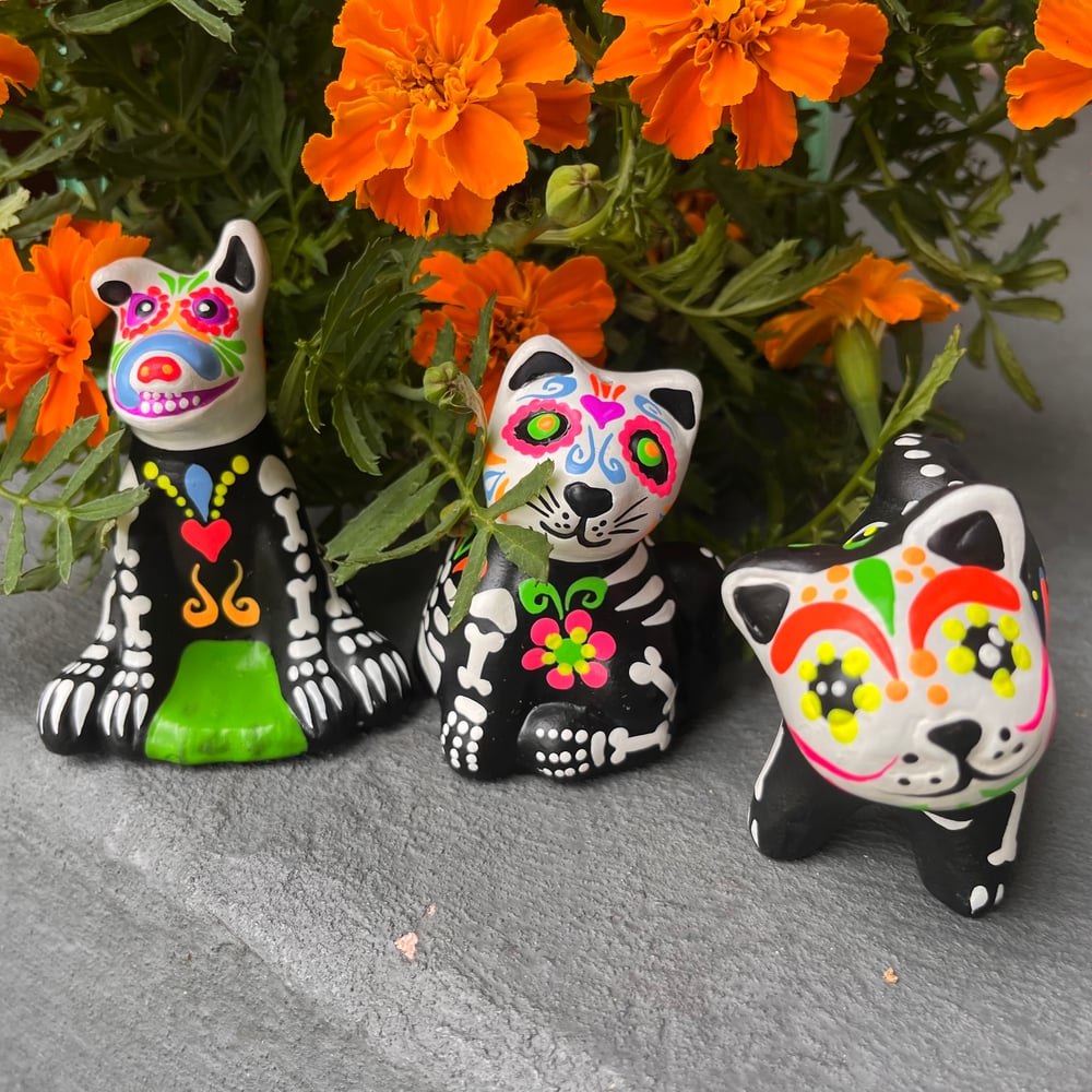 Image of Day of the dead pets 