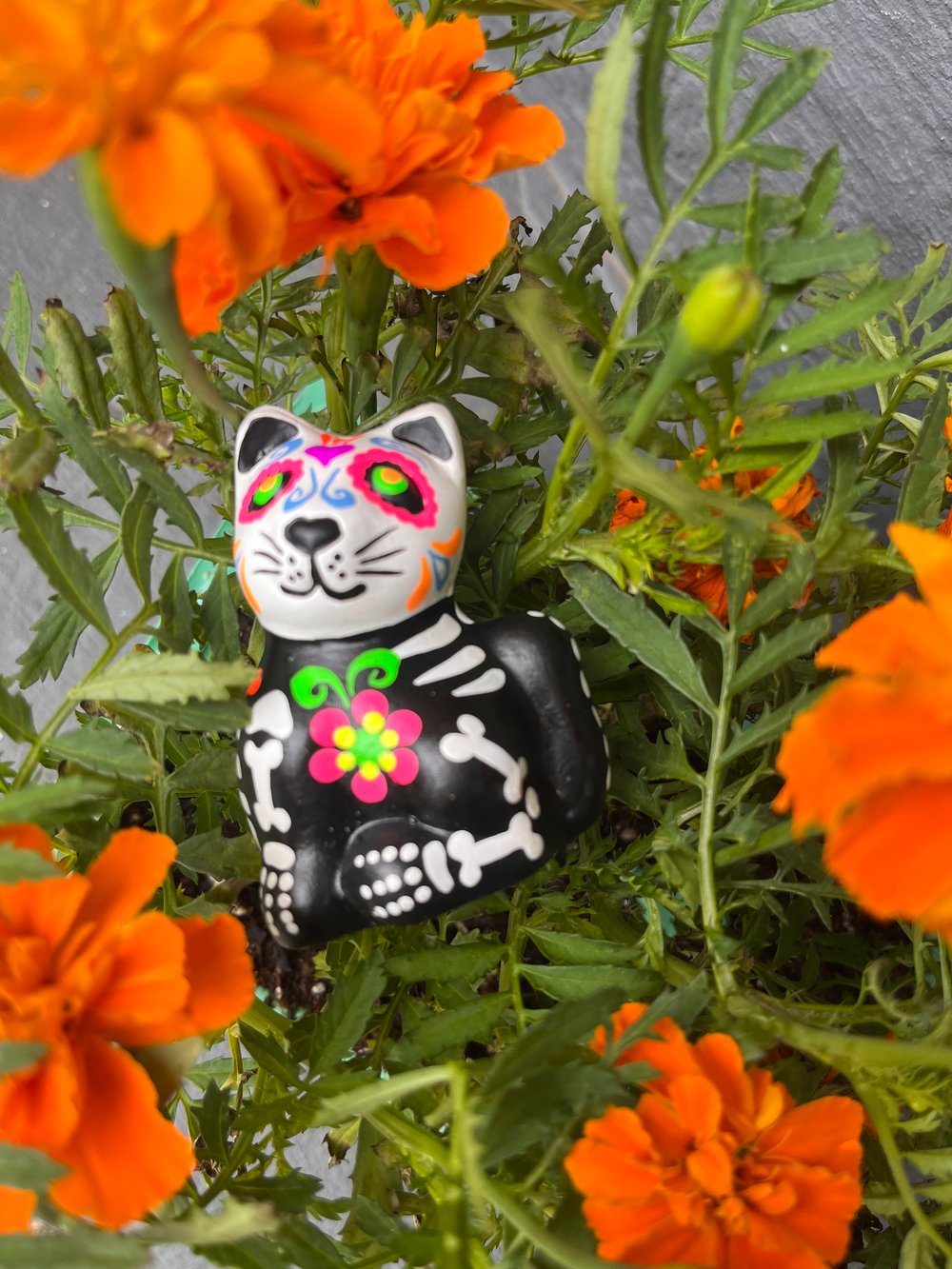 Day of the dead pets 