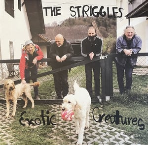 Image of OUT NOW!!! THE STRIGGLES "Exotic Creatures" LP