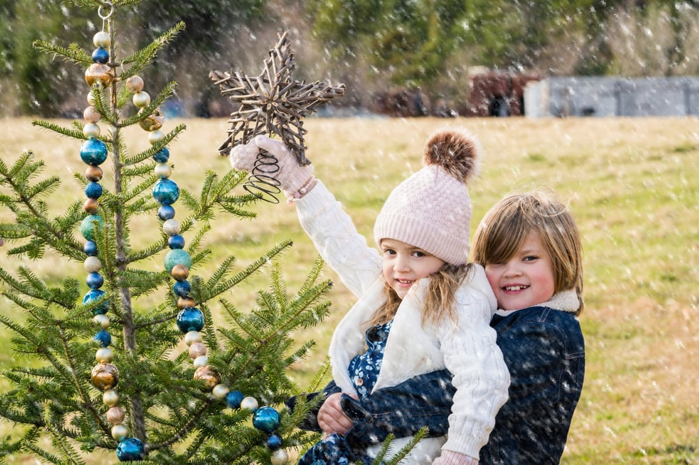Image of Sunday Nov 5th, Outside Xmas Mini Sessions
