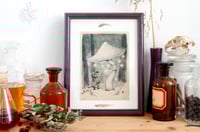 Image 3 of "Oooh" - Limited Edition Art Print