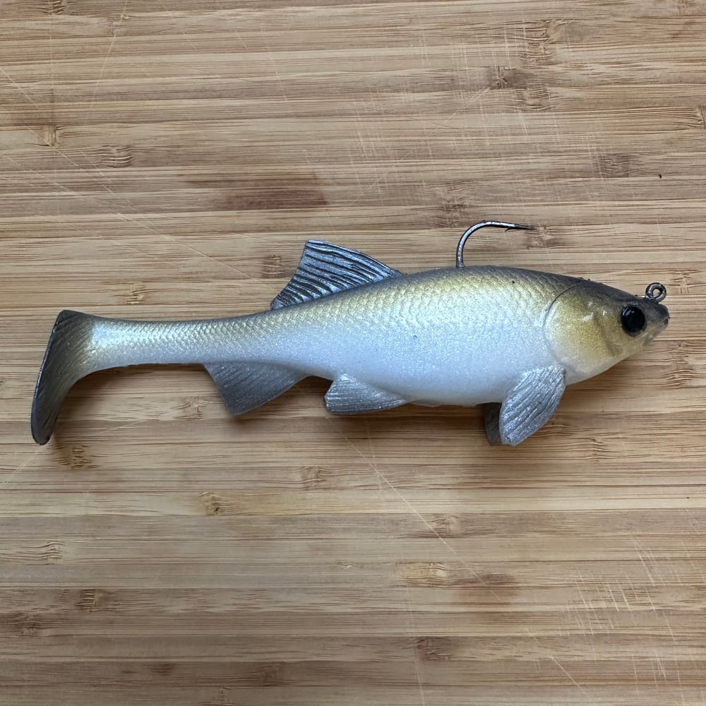 NEW! Loose Caboose | Gizzard Shad