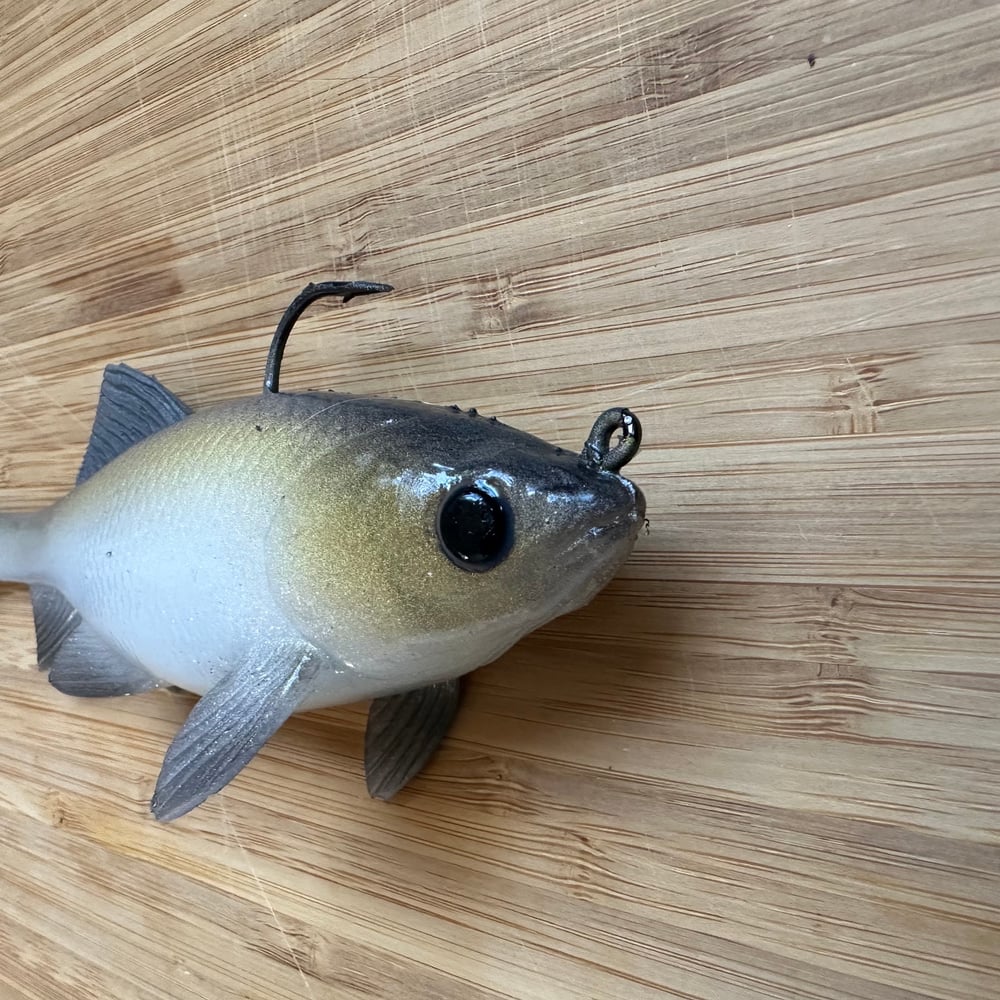 NEW! Loose Caboose | Gizzard Shad - Image 3