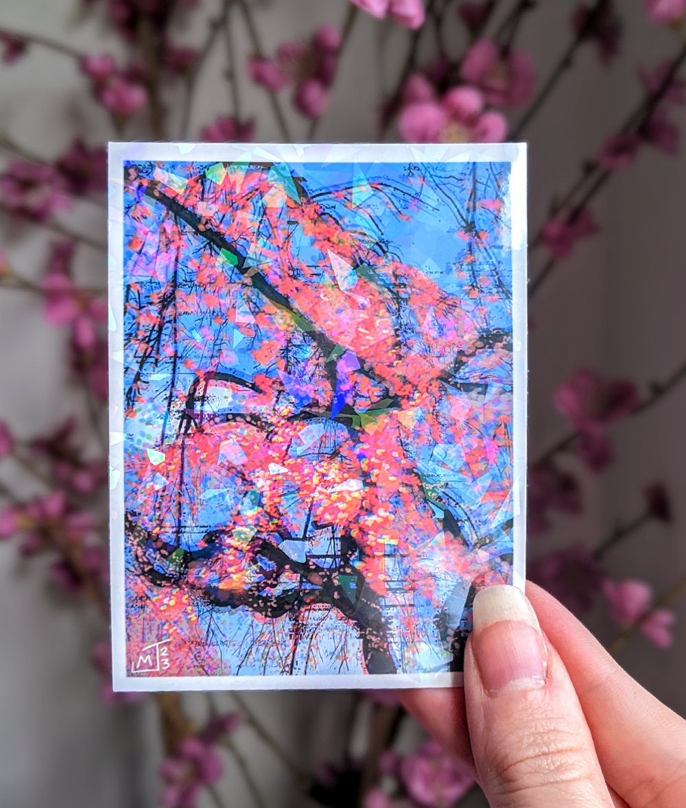 Image of "Cherry Blossom" Print / Sticker