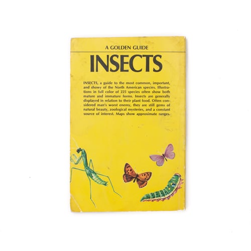 Image of Insects Golden Guide