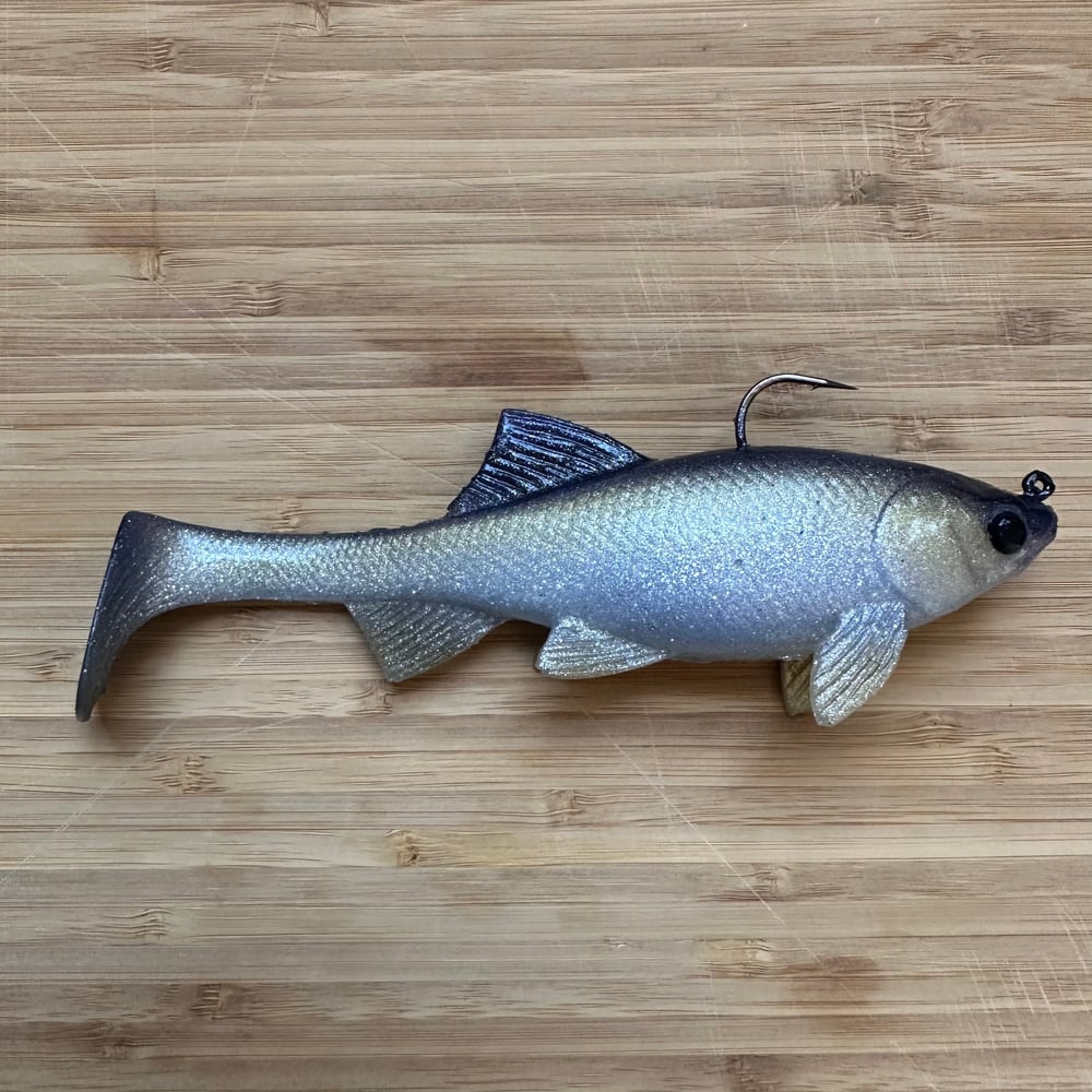 NEW! Loose Caboose | Purple Back Herring