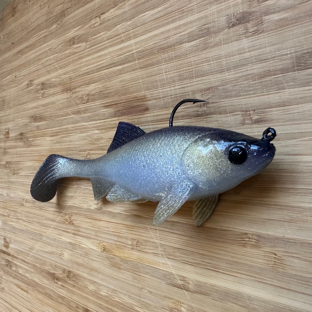 NEW! Loose Caboose | Purple Back Herring - Image 2