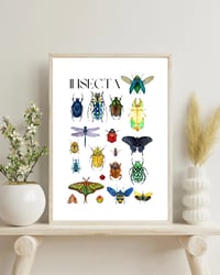 Image 2 of Insecta Watercolor Illustration PRINT 