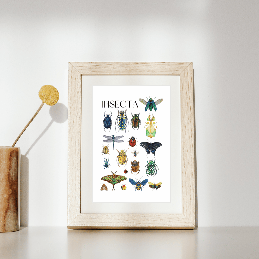 Image of Insecta Watercolor Illustration PRINT 