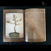 Image 4 of INFERNAL PROTEUS: A MUSICAL HERBAL 1PR HARDCOVER BOOK + 4 CDS! 