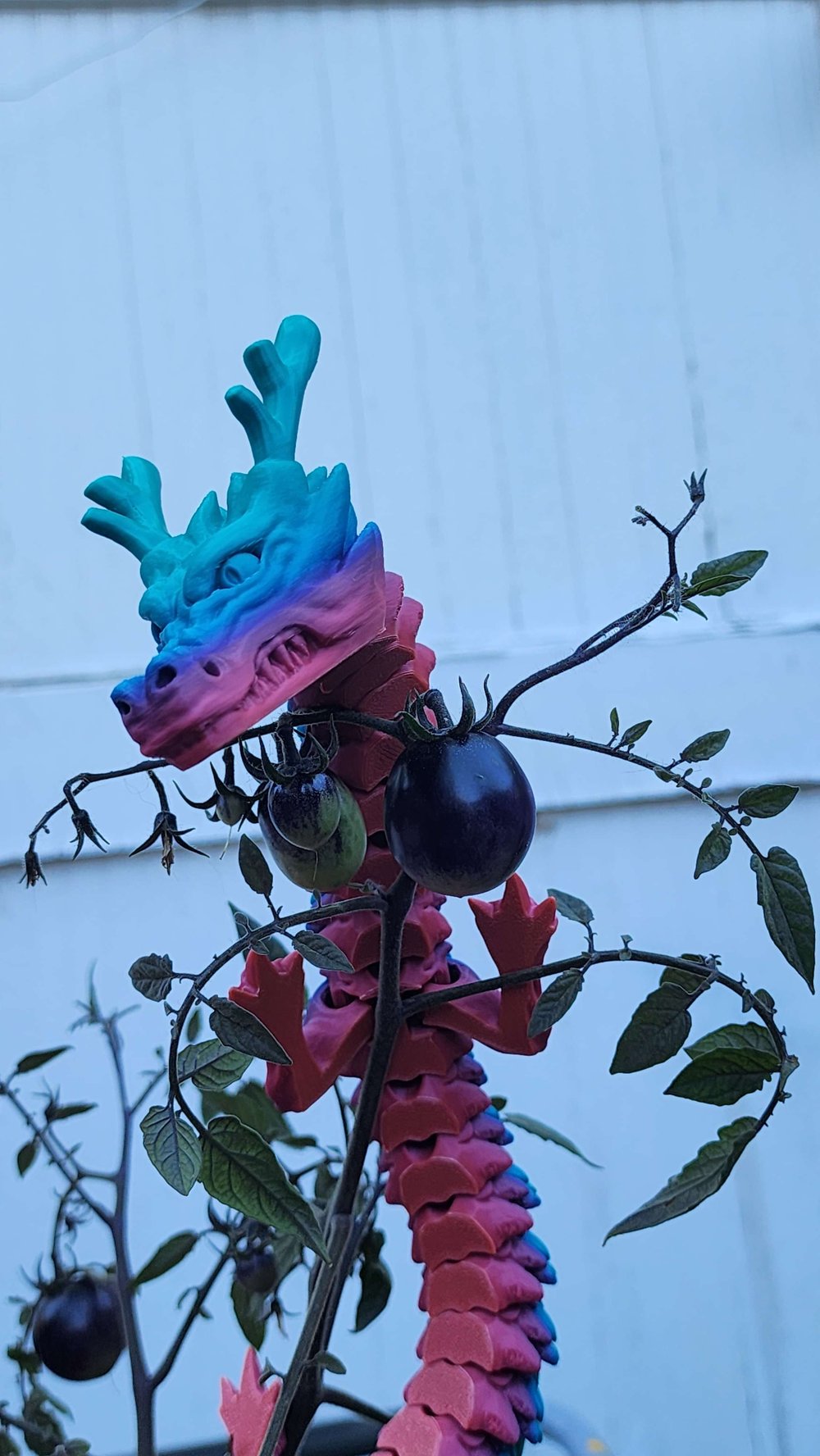 Extra Large Dragon-Rainbow Shenlong