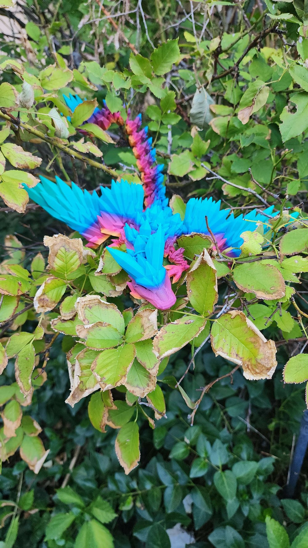 Large dragon- Crystal winged dragon and more