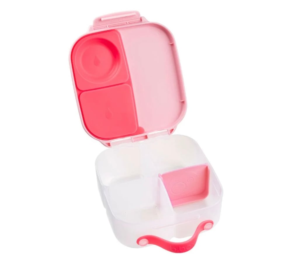 B. Box Lunchbox Mini Flamingo Fizz