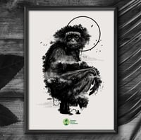 Image 2 of WHITE-BEARDED GIBBON JUNGLE FACE x BORNÉO NATURE FRANCE