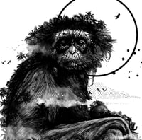 Image 4 of WHITE-BEARDED GIBBON JUNGLE FACE x BORNÉO NATURE FRANCE