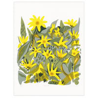 Arnica screen print