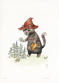 Image 2 of "Introduction To Field Botany" - Limited Edition Art Print